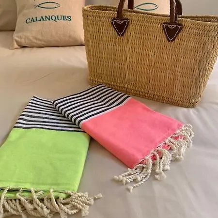 公寓 Au Coeur De 卡西斯